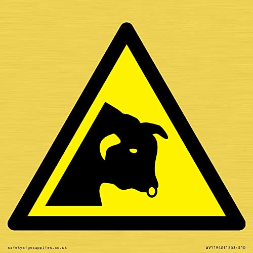 W034 Warnung: Bull Schild – 100 x 100 mm – S10 von Viking Signs