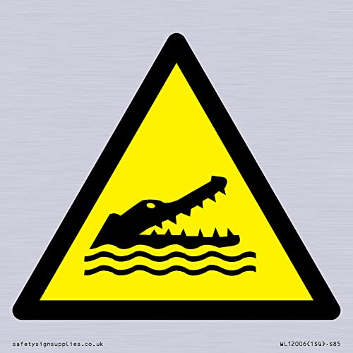 W067 Warnung: Krokodile, Alligatoren oder Caymans Schild – 85 x 85 mm – S85 von Viking Signs
