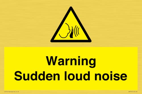 Warnschild mit Aufschrift "Warning Sudden loud noise", 300 x 200 mm, A4L Warnschild mit Aufschrift "Warning Sudden loud noise", 300 x 200 mm, A4L von Viking Signs