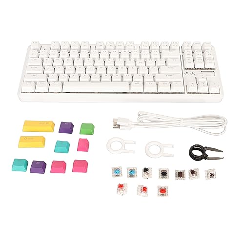 Vikye Mechanische Tastatur, 87 Tasten, Kabelgebunden, Bluetooth 5.0, Mechanische Tastatur, 18 RGB-Lichteffekte, 10 DIY-Tastenkappen, Ergonomisches Design, Passend für Bürospiele von Vikye