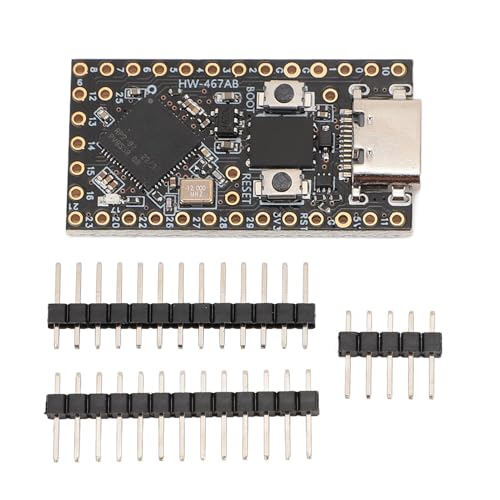 Vikye RP2040 Dual-Core-Entwicklungsboard mit Umfangreichem Speicher, One-Key-Reset und Boot für Kommunikationsprotokolle und Kompatibilität mit Mehreren Plattformen von Vikye