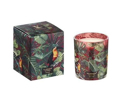 Wild Musk Duftkerze – Sinnlicher Naturduft mit Orangenblüte, Moschus & Ylang-Ylang – Exotisch & erdig – ca. 45h Brenndauer – Geschenkidee – Handgegossen im edlen Glas von Vila Hermanos
