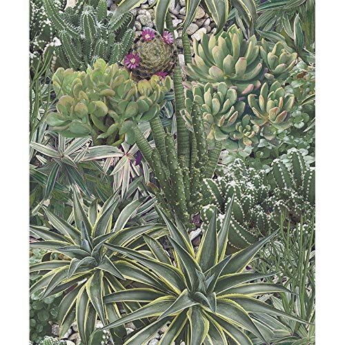 VILBER Vliestapete, Digitaldruck auf Vlies, PVC-frei, umweltfreundliche HP-Latex-Tinte. Kollektion Cactus Spezielle Breite 68 cm x Länge 10 m. Für 6,80 m². TENERIFE.2829 W-20 von Vilber