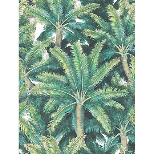 VILBER Vliestapete, Digitaldruck auf Vlies, PVC-frei, umweltfreundliche HP-Latex-Tinte. Kollektion PALMS. Spezielle Breite 68 cm x Länge 10 m. Für 6,80 m². PALMS.2276 W-01 von Vilber