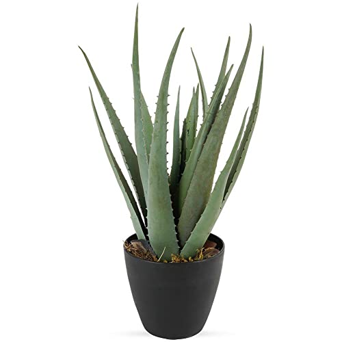 Vilde Kunstpflanze künstliche Pflanze im Topf Aloes-Pflanze Aloes dekorativ 42 cm von Vilde