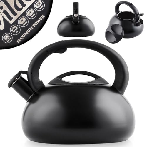 Vilde Wasserkessel Induktion 3 L - Edelstahl Teekessel Matt Schwarz - Für Induktion/Gasherd/Holzofen - Energieeffizient Flötenkessel mit Abnehmbarem Deckel - Bequemer Kunststoffgriff - 20 cm Höhe von Vilde