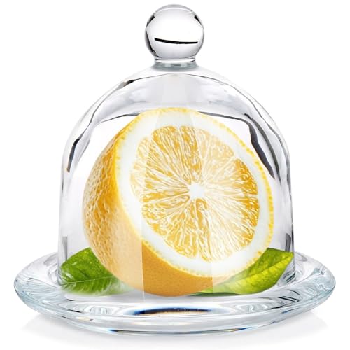 Vilde Zitronenbehälter aus Glas Zitronenglas Zitronenglocke 9,5x9,5 cm Vilde Zitronenbehälter aus Glas Zitronenglas Zitronenglocke 9,5x9,5 cm von Vilde
