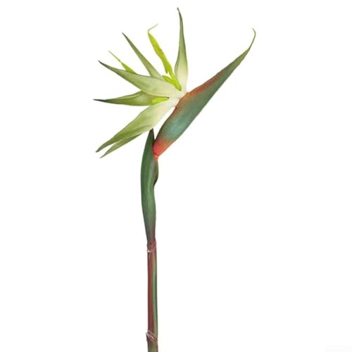 Vilgftyiet Künstliche Paradiesvogel-Blumenstiele mit realistischem Aussehen und flexiblem Arrangement für Zuhause und Hochzeitsdekoration (Trompetengrün) von Vilgftyiet