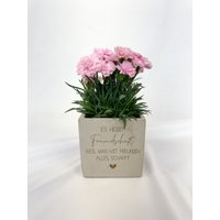 Personalisiertes Geschenk Blumentopf | Spruch - Es Heißt Freundschaft Beste Freundin Danke Sagen Kleinigkeit Blume Geburtstag Idee von ViliveDE