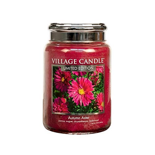 Tradition Jar Large 626 g Autumn Aster LE von Village Candle