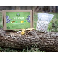 100 Pilz Dübel - Set Zum Baumstamm Beimpfen von VillageFungi