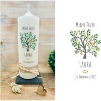 Taufkerze Baum Des Lebens Kommunionkerze Konfirmationskerze Christliche Symbole Für Mädchen Jungen Mit Namen Und Datum Laura Gold Taufkerze Baum Des Lebens Kommunionkerze Konfirmationskerze Christliche Symbole Für Mädchen Jungen Mit Namen Und Datum Laura Gold von Villarosalotta