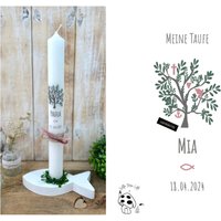 Taufkerze Baum Des Lebens Lebensbaum Mia Christliche Symbole Taube Fisch Kreuz Anker Herz Altrosa Rosa Kommunionkerze Konfirmationskerze Taufkerze Baum Des Lebens Lebensbaum Mia Christliche Symbole Taube Fisch Kreuz Anker Herz Altrosa Rosa Kommunionkerze Konfirmationskerze von Villarosalotta