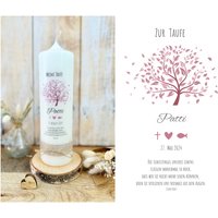 Taufkerze Baum Des Lebens Lebensbaum Patti Mit Spruch Watercolor | Blätter Fisch Herz Kreuz Rosa Kommunionkerze Konfirmationskerze Taufkerze Baum Des Lebens Lebensbaum Patti Mit Spruch Watercolor | Blätter Fisch Herz Kreuz Rosa Kommunionkerze Konfirmationskerze von Villarosalotta