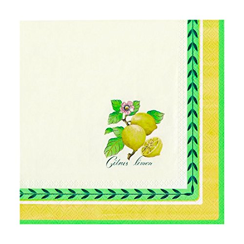 IHR L 452500 Servietten 33x33cm French Garden von Villeroy & Boch