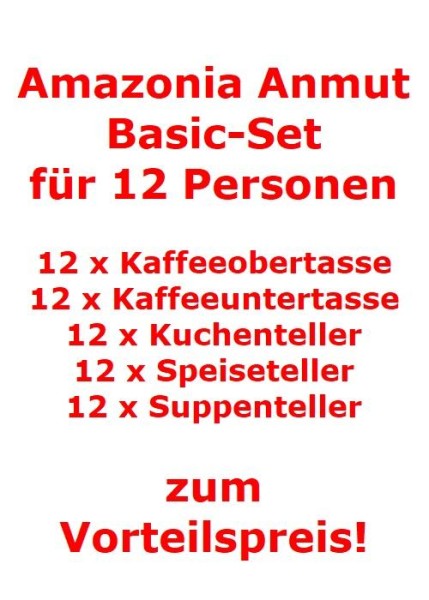 Villeroy & Boch Amazonia Anmut Basic-Set für 12 Personen / 60 Teile von Villeroy & Boch