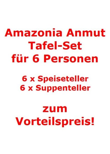 Villeroy & Boch Amazonia Anmut Tafel-Set für 6 Personen / 12 Teile von Villeroy & Boch