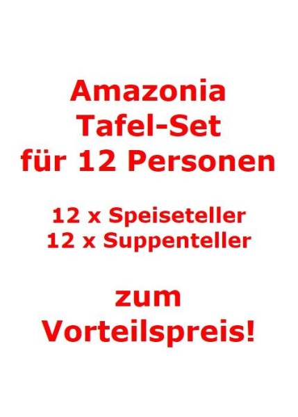 Villeroy & Boch Amazonia Tafel-Set für 12 Personen / 24 Teile von Villeroy & Boch