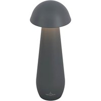 Villeroy & Boch Modena LED Akkuleuchte Höhe: 21 cm, anthrazit von Villeroy & Boch