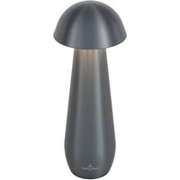 Villeroy & Boch Modena LED Akkuleuchte Höhe: 21 cm, graphit gebürstet von Villeroy & Boch