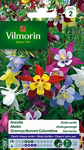 Ancolie Stern Variée, Gelb,Grün,Rosa,Weiß von Vilmorin