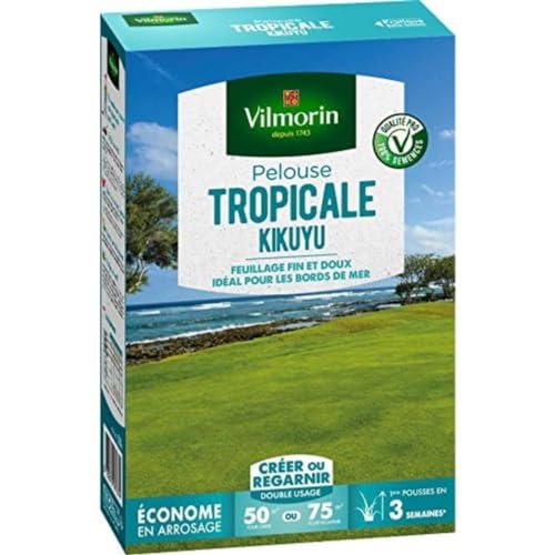 VILMORIN Kikuyu Tropical Rasen – ideal am Meer – Trockenheitsbeständig – energiesparend – fein und weich hellgrünes Laub – Rasen erstellen/Nachbeleben eines alten Rasens – 500 g von Vilmorin