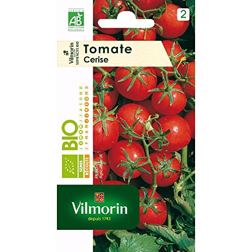 VILMORIN Sachet graines bio Tomate cerise von Vilmorin