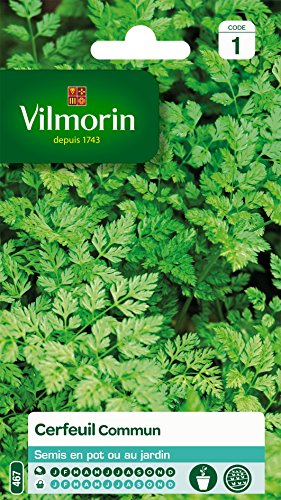 Vilmorin 3235044 Gemeinsamer Kerbel, Grün, 90 x 2 x 140 cm von Vilmorin