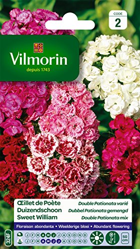 Vilmorin 5437942 Öse, Mehrfarbig, 90 x 2 x 160 cm, 1,5 g Beutel von Vilmorin