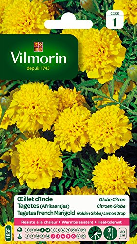 Vilmorin 5442141 Öse, gelb, 90 x 2 x 160 cm von Vilmorin