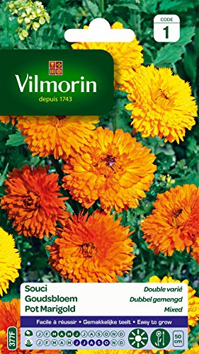 Vilmorin 5791041 Ringelblume zweifarbig, 90 x 2 x 160 cm von Vilmorin