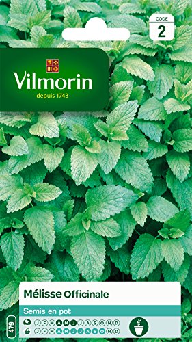 Vilmorin 5877046 Melisse Officinal, grün, 90 x 2 x 140 cm von Vilmorin