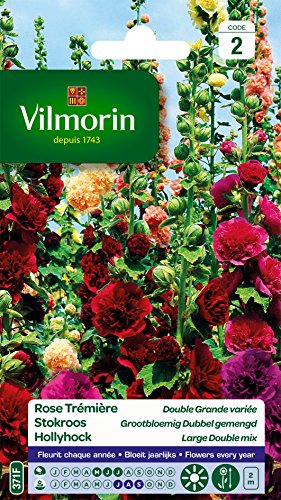 Vilmorin - Beutel Samen Rosa Stock- Doppelt Sauerampfer Gemischt von Vilmorin