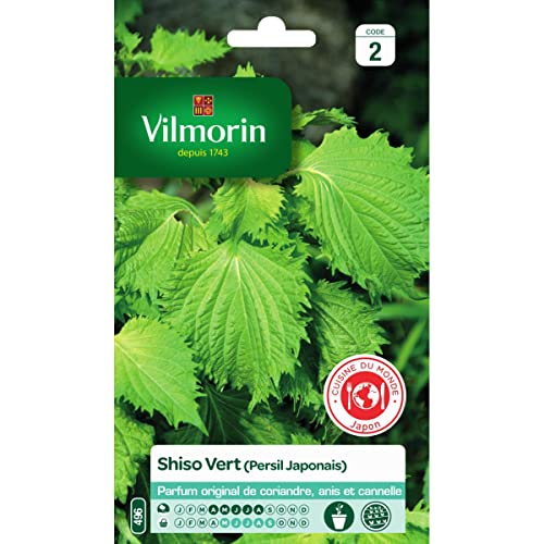 Vilmorin – Samen Shiso grün (japanischer Petersilien) von Vilmorin