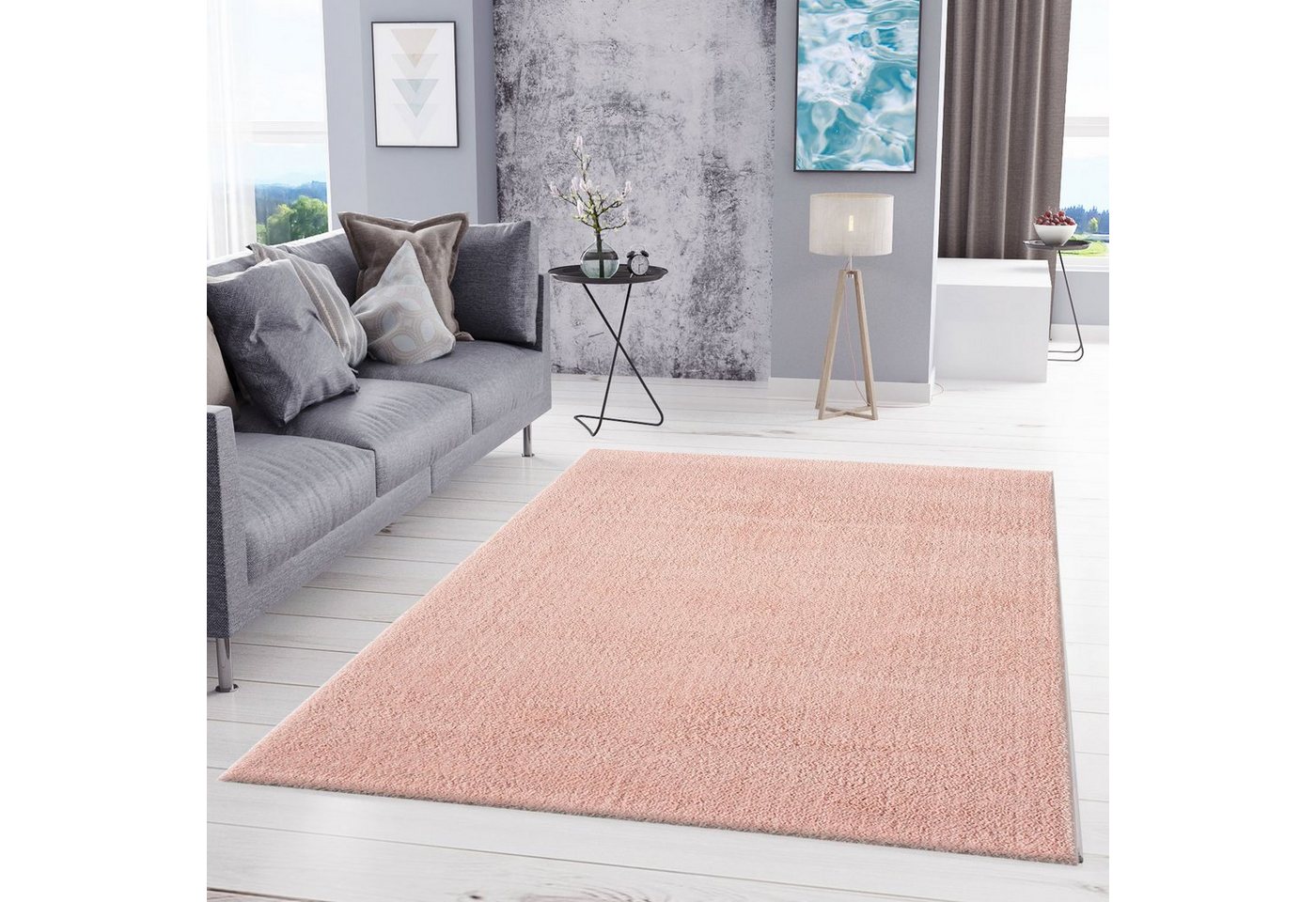 Teppich Teppich Wohnzimmer in Pastell Rose Flauschig Microfaser -Weich, Vimoda, Rechteckig, Weich, modern von Vimoda