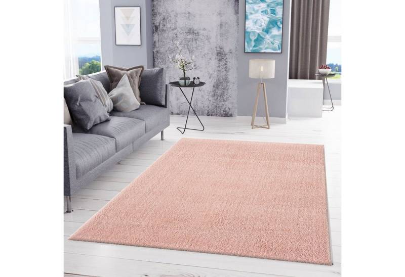 Vimoda Hochflor-Teppich Teppich Wohnzimmer kuscheliger Mikrofaser Shaggy in 5 Farben, Rechteckig, Höhe: 19 mm, Läufer Shaggy einfarbig dicht sehr weich premium Qualität Vimoda Hochflor-Teppich Teppich Wohnzimmer kuscheliger Mikrofaser Shaggy in 5 Farben, Rechteckig, Höhe: 19 mm, Läufer Shaggy einfarbig dicht sehr weich premium Qualität von Vimoda
