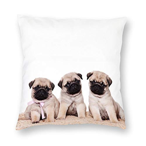 VinMea Decorative Pillow Covers Three Pug Puppy Throw Pillow Case Cushion Cover Home Office Decor,Square 18 X 18 Inches von VinMea
