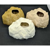 Wetbox Für Terrarien - Aus Bio-Kunststoff Mit Magnetdeckel Wetbox Für Terrarien - Aus Bio-Kunststoff Mit Magnetdeckel von VincentHaude3DDruck