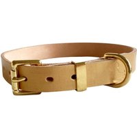 Gold Leder Hundehalsband | Handgemachte Handbemalt Massive Messingbeschläge Kostenloser Versand in Großbritannien von VincenzosCollars