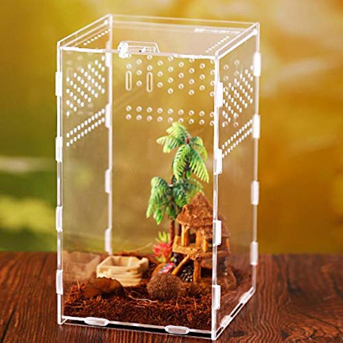Vinnykud Mini Terrarium Transportbox,Reptil Fütterungsbox aus Acryl, Tragbarer Reptilienzuchtbox Transparent Reptil Zuchtfall für Spinnenechsen, Eidechse, Skorpion, Gehörnter Frosch(15×15×25cm) Vinnykud Mini Terrarium Transportbox,Reptil Fütterungsbox aus Acryl, Tragbarer Reptilienzuchtbox Transparent Reptil Zuchtfall für Spinnenechsen, Eidechse, Skorpion, Gehörnter Frosch(15×15×25cm) von Vinnykud