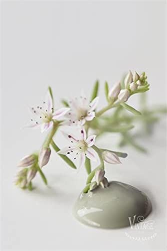 Vintage Paint by Jeanne d'Arc Living Kreidefarbe MOSS GREEN 700ml ECO Farbe Zertifiziert 701108 Feine Kreidefarbe auf Wasserbasis. Kalkfarbe matt von Vintage paint