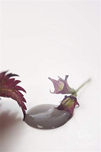 Vintage Paint by Jeanne d' Arc Living Vintage Paint Kreidefarbe Kalkfarbe Farbe 700 ml/23,6oz Chalk DARK POWDER 700035 von Vintage Paint