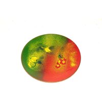 50Er Jahre Kupfer Teller Untersetzer Bar Dekoration Buntes Muster Möbel Und Aus West Deutschland Schüssel Servierplatte 50Er Jahre Kupfer Teller Untersetzer Bar Dekoration Buntes Muster Möbel Und Aus West Deutschland Schüssel Servierplatte von Vintage4Moms