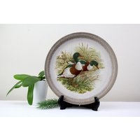 Zauberhafter Porzellan Keramik Wandteller Enten Abbildung Jc.v. Hunnik Sammler Teller Hergestellt in Holland 26 cm Ø von Vintage4Moms