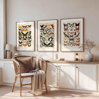 3Er-Poster-Set Papillons Von Adolphe Millot Vintage Poster Gallery Wall Set Schmetterlinge Wandkunst Drucke Naturkunde Illustration von VintageArtQuarter