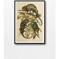 Vintage Print Chamäleons Poster Wanddekoration Wildlife Chamäleon Wandschmuck Antike Illustration Reptil Druck Bild Geschenkidee Vintage Print Chamäleons Poster Wanddekoration Wildlife Chamäleon Wandschmuck Antike Illustration Reptil Druck Bild Geschenkidee von VintageArtQuarter