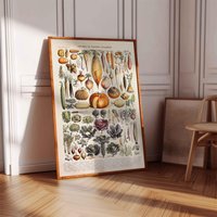 Vintage Print Gemüse Adolphe Millot Poster Legumes Chart Larousse Küchenposter Wall Art Kunstdruck Küche Wandschmuck Landhaus Wanddekoration von VintageArtQuarter