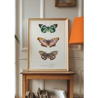 Vintage Print Schmetterlinge Poster Kunstdruck Antike Illustration Lexikon Wanddekoration Wandschmuck Geschenkidee von VintageArtQuarter