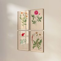 Wilde Blumen Vintage Poster 4Er Set Wanddekoration Florale Illustration Löwenzahn Mohn Calendula Rose Lexikon Botanical Geschenkidee von VintageArtQuarter