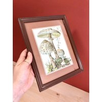 Miniatur Bild, Druck, Pilze, Herbst, Herbstliches Deko, Gerahmter Natur 60Er Jahre Holzrahmen Miniatur Bild, Druck, Pilze, Herbst, Herbstliches Deko, Gerahmter Natur 60Er Jahre Holzrahmen von VintageFraeulein